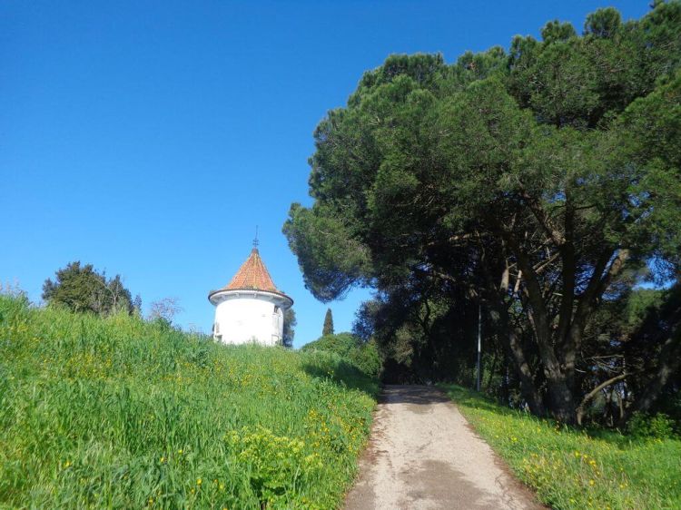 Caminhada por Trilhos e Miradouros de Monsanto