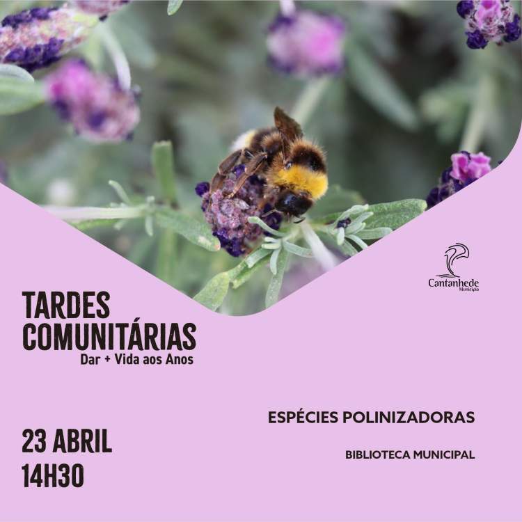 Tardes Comunitárias: Espécies Polinizadoras