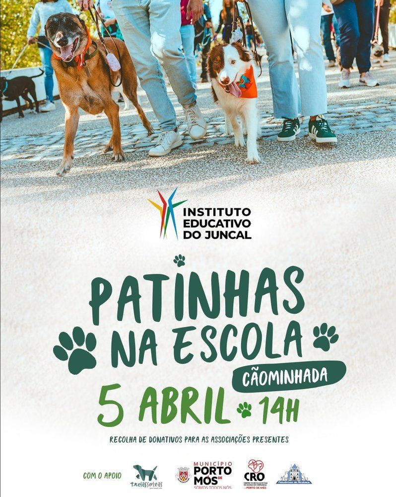 Patinhas na Escola - Cãominhada Solidária