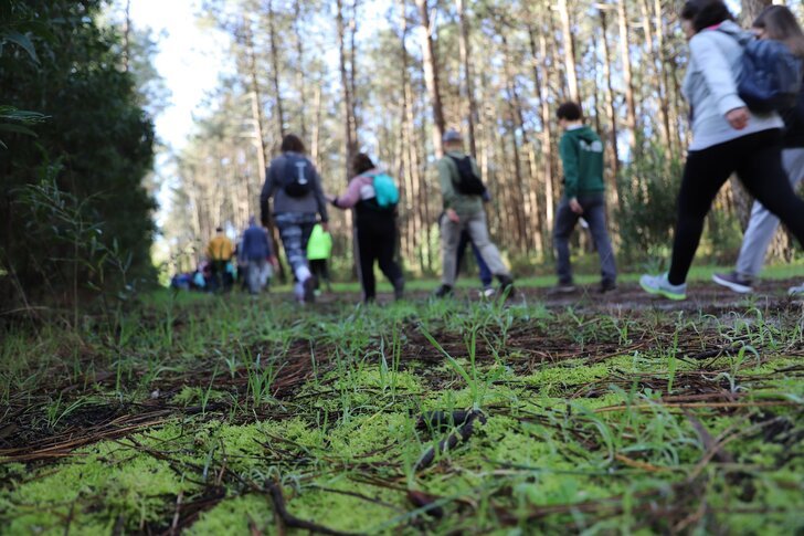 CAMINHADA PARA A SAÚDE DESTINADA À POPULAÇÃO SÉNIOR