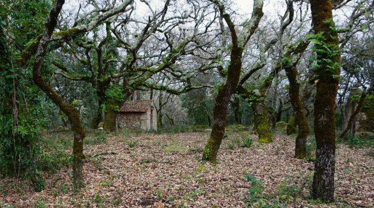 Por Trilhos Ancestrais e Aldeias Serranas do Sicó | Pombal