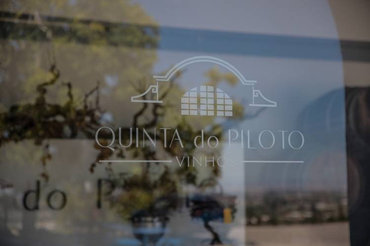 Prova de Vinhos e Moscatéis na Quinta do Piloto + Caminhada | Palmela