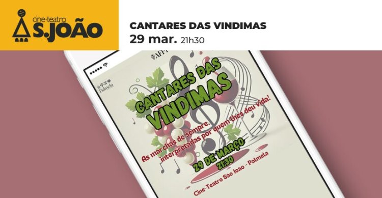 'CANTARES DAS VINDIMAS': Recorde as marchas de sempre!