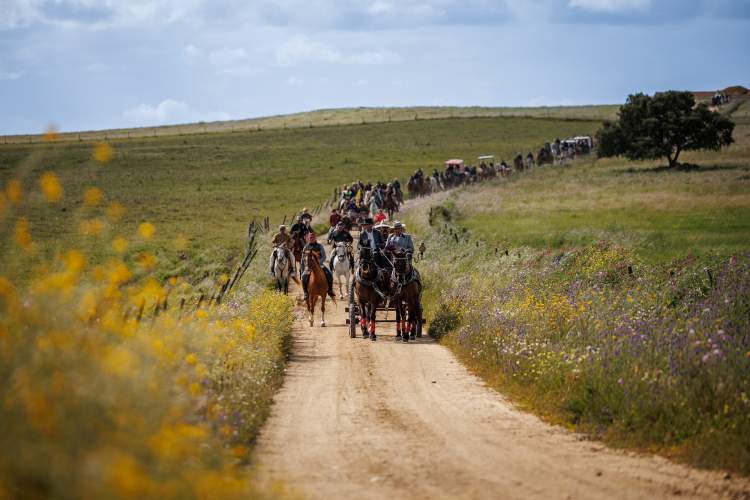 Romaria a Cavalo Moita-Viana do Alentejo