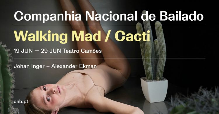 Walking Mad/Cacti com Quarteto de Cordas de Matosinhos :: Inger, Ekman :: CNB 2024/2025