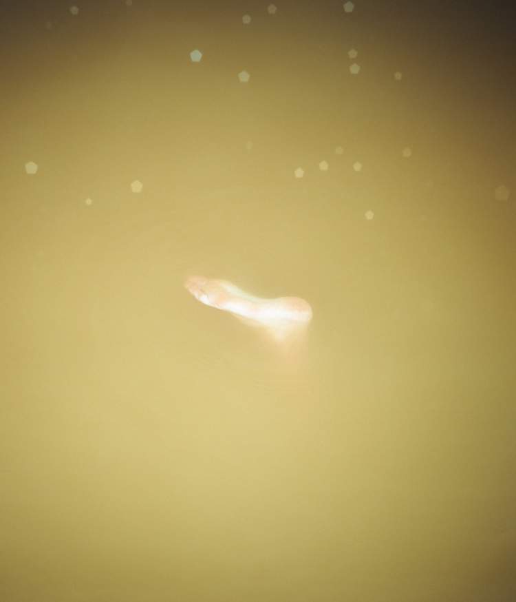 Inauguração da exposição “Membrana” | Coletivo Barda