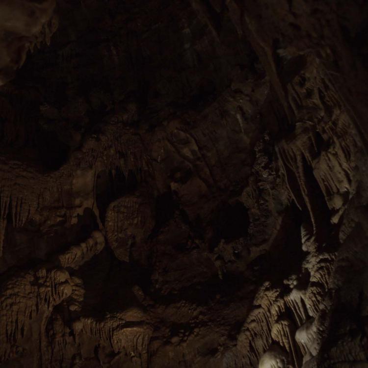 Beatriz Costa | Nina Vanhoenacker | Camilo Angeles | Lombo [imagens em movimento]