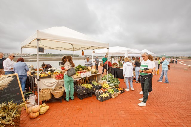Seixal Green Market