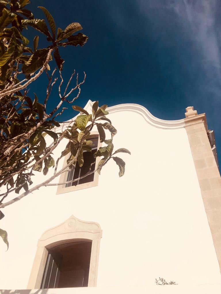 Domingo, às Onze... no Museu - ESGOTADO