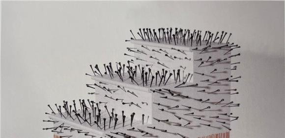 ANTE + POST de Rui Paes