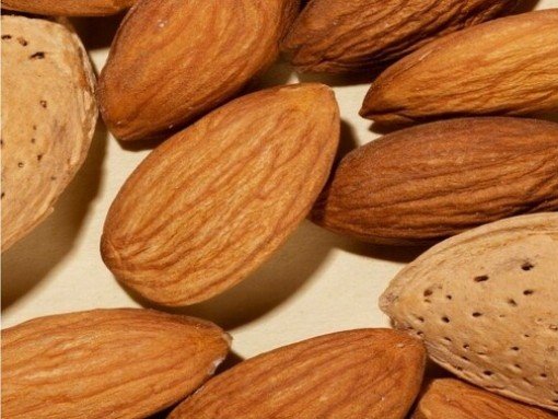 CONFERÊNCIA/DEBATE “FRUTO SECOS – CONTRIBUTO PARA A PROTEÇÃO E PROMOÇÃO DO PATRIMÓNIO RURAL”