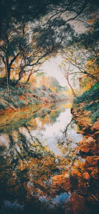 Exposição de Fotografia “Pelos Trilhos do Algarvensis”, de Rui M. M. Gregório