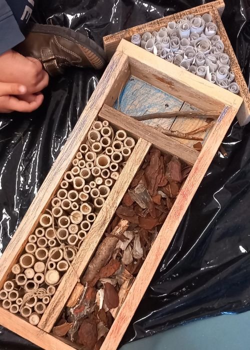 Abrigos e Comedouros para os Pequenos Habitantes da Floresta