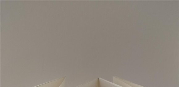 LIVRO DE ARTISTA: O MUSEU É A MINHA CASA POR CARMO DIOGO