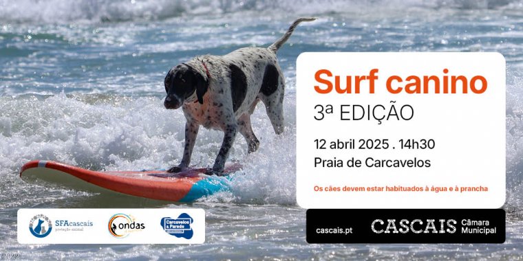 Surf Canino | 3ª Edição
