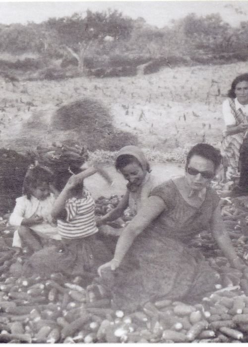 Visita Dramatizada e Recriação Etnográfica - A Desfolhada