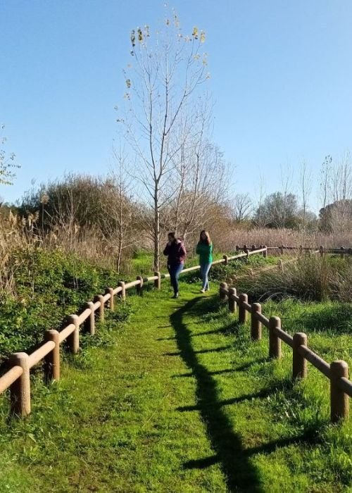 Dia Mundial da Terra