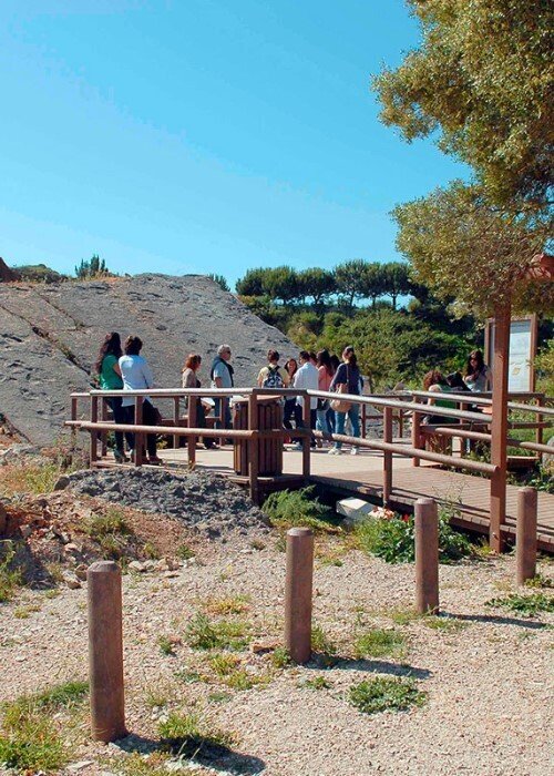 Os Dinossauros Passaram em Sesimbra