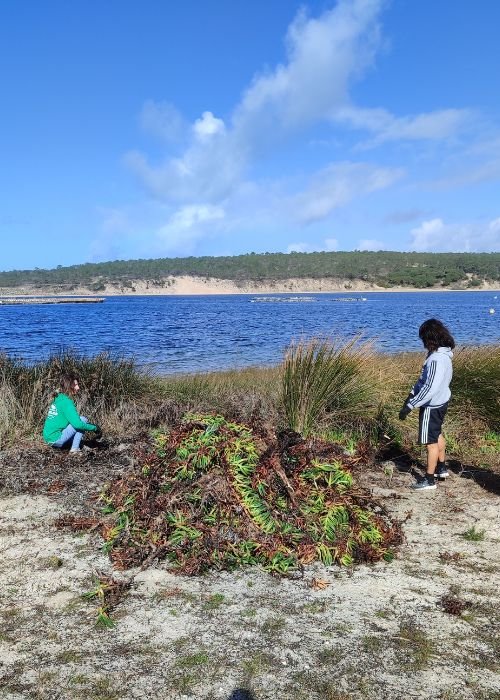 Atuar em Terra, Proteger o Mar