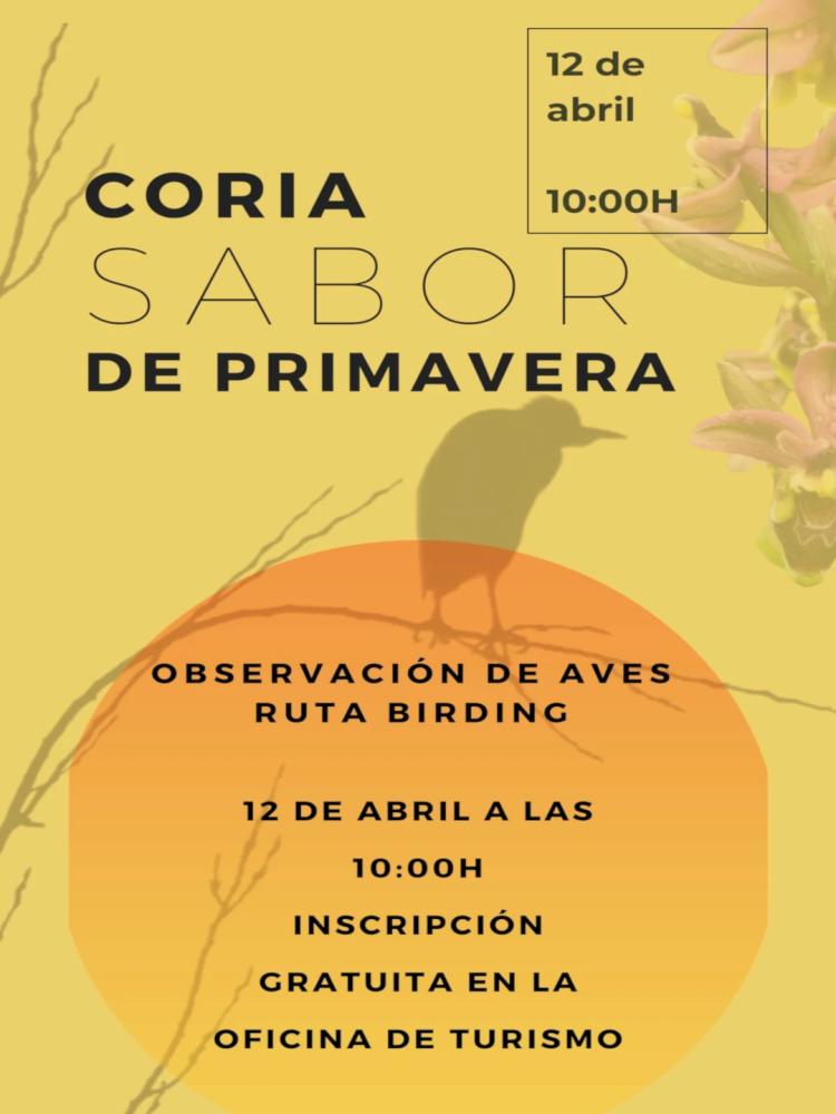 Observación de Aves – Ruta Birding