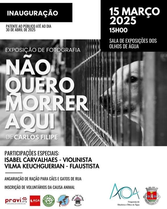 Exposição de Fotografia “Não quero morrer aqui”, de Carlos Filipe