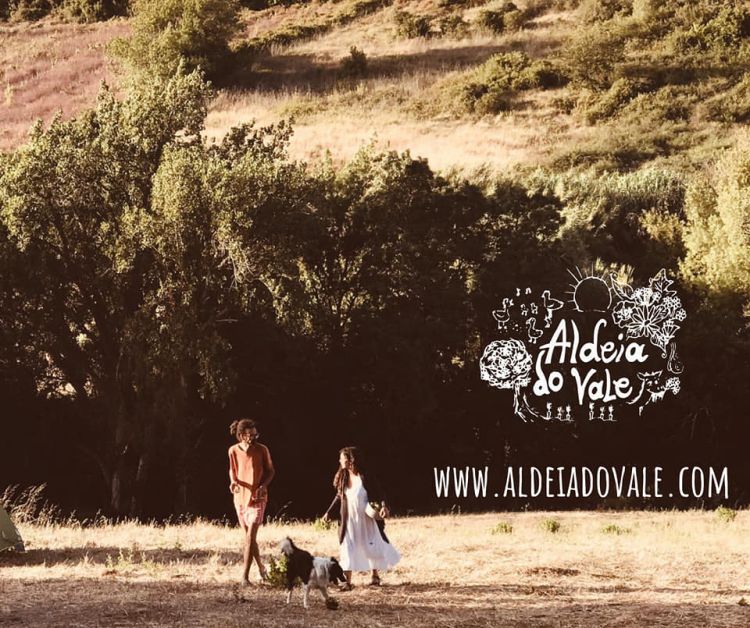 Dia Aberto - Open day 