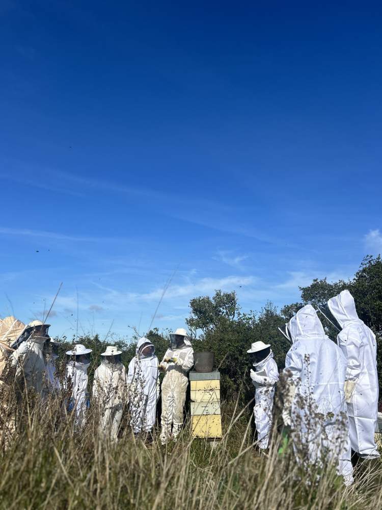 Curso Apicultura - Aldeia do Vale 