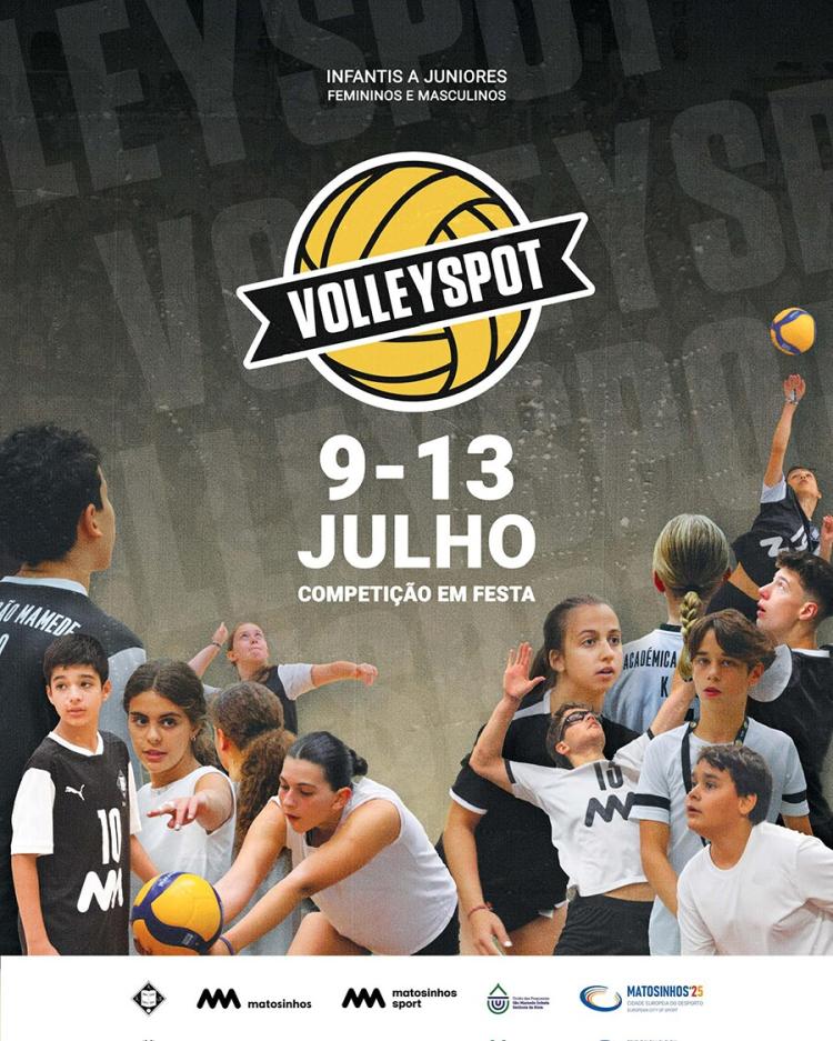 Volleyspot