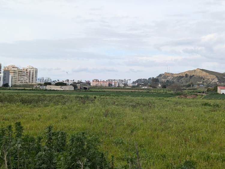 Curso Aplicação de Produtos Fitofarmacêuticos