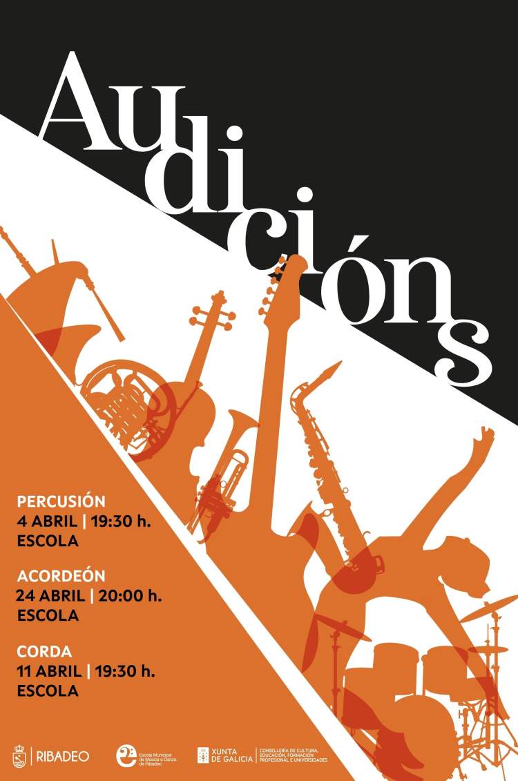 AUDICIÓNS