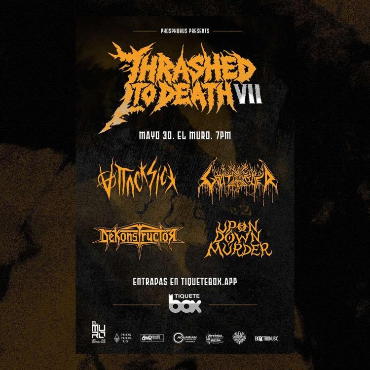 THRASHED TO DEATH VII.