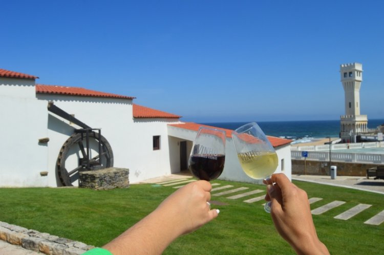 Provas de vinhos na Azenha de Santa Cruz