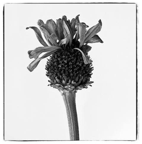 'Mímesis' de Julia González Liébana (GALERÍA ÁRMAGA)