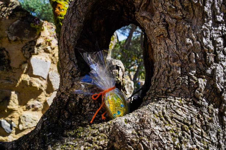 Caça aos ovos no Castelo