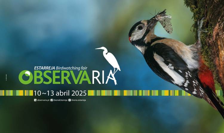 ObservaRia - Estarreja Birdwatching Fair