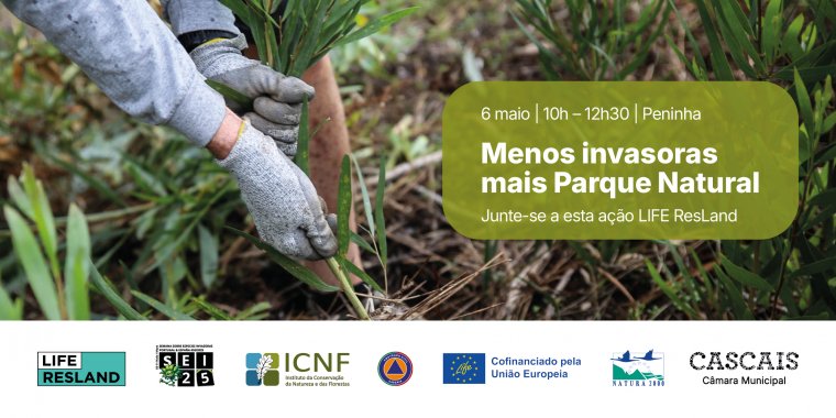 Menos invasoras, Mais Parque Natural | Junte-se a esta ação LIFE ResLand