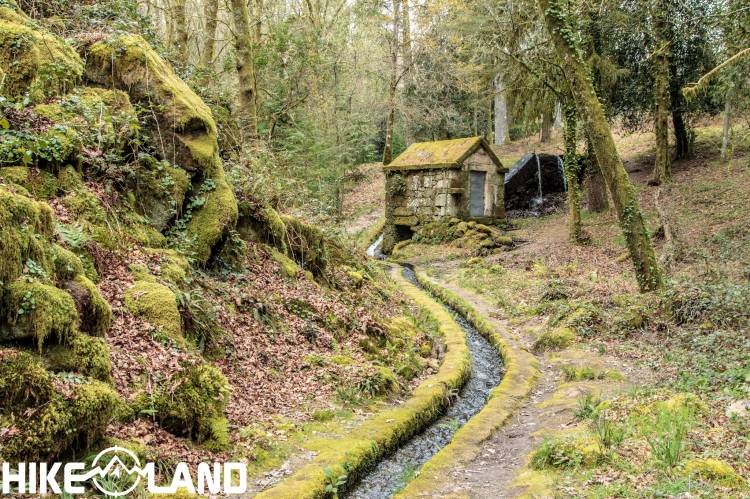 Da Levada de Víbora aos Bosques da Veiga | Cabeceiras de Basto