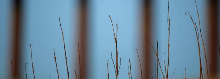 Últimos dia para visitar trabalhos fotográficos dos alunos da Escola Secundária de Vialonga
