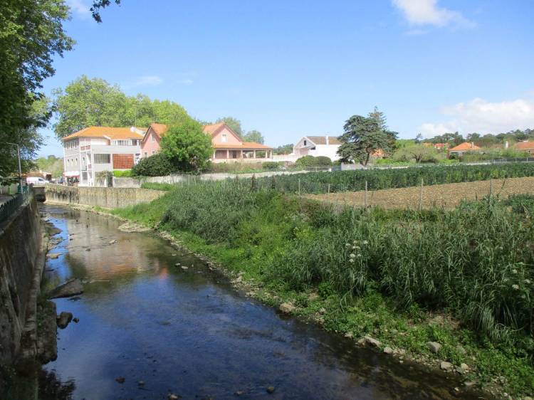 Caminhando da Várzea de Colares a Monserrate