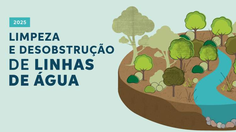 Limpeza e Desobstrução das Linhas de Água do concelho de Torres Vedras