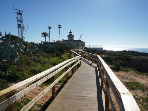 PLOGGING NA PONTA DA PIEDADE