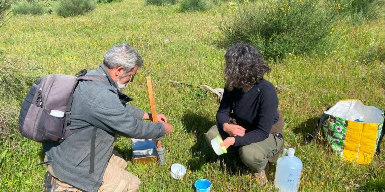 Métodos de monitorização de insetos, pelo Tagis
