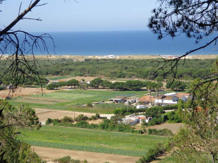 Caminhando na Mata dos Medos, Alpena e Capuchos