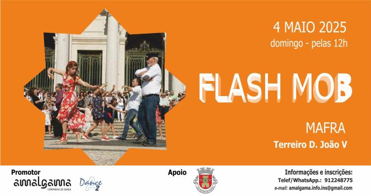 VII FLASHMOB MAFRA 2025
