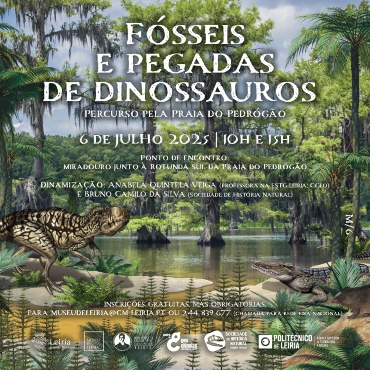 Fósseis e pegadas de dinossauros - percurso pela Praia do Pedrógão