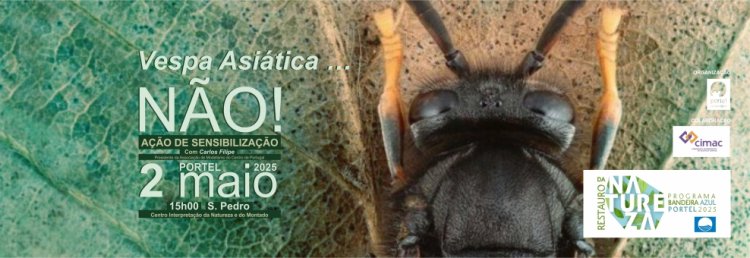 Ação de Sensibilização – Vespa Asiática… Não!