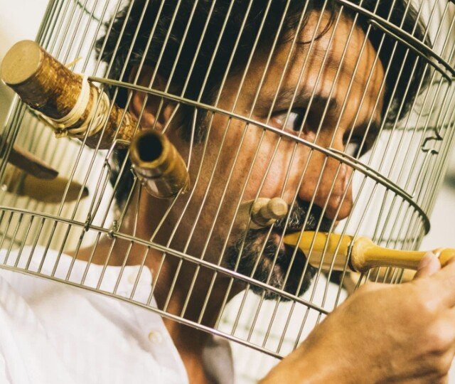 Concerto Para Uma Árvore, com Fernando Mota