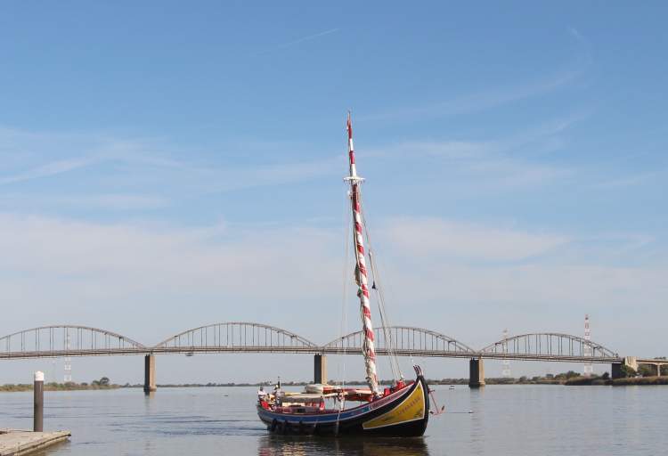 Turismo Fluvial | Visitas ao Barco Varino Liberdade