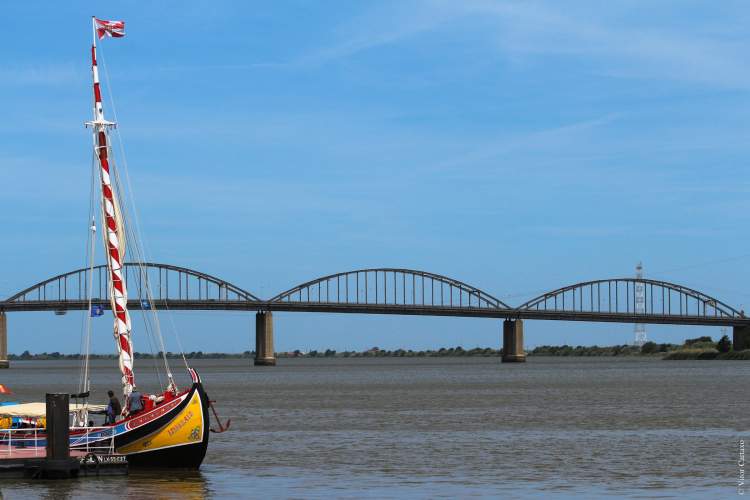 Turismo Fluvial | Visitas ao Barco Varino Liberdade