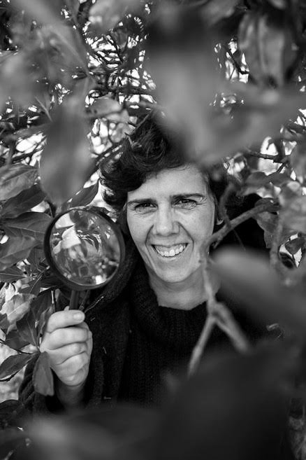 Ciclo Cultura Científica 'Como fazer parte da ciência em' com Cristina Luís